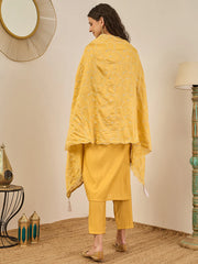 Aarohi Embroidered Kurta Set