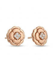 925 Silver Rose Gold Rose Bloom Stud Earrings for Women