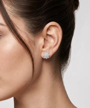 925 Silver Star Bloom Stud Earrings for Women