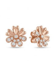 925 Silver Rose Gold Bloom Flower Stud Earrings for Women