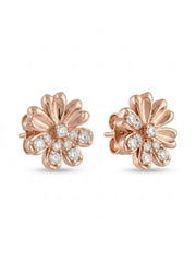 925 Silver Rose Gold Bloom Flower Stud Earrings for Women