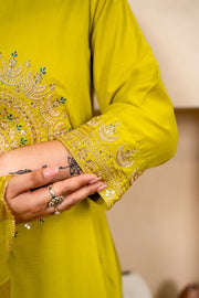 Nayra Embroidered Kurta Set
